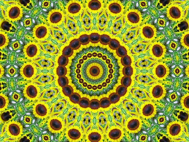 a digital artwork, made in a kalei window pattern, depicting the colors of a sunflower