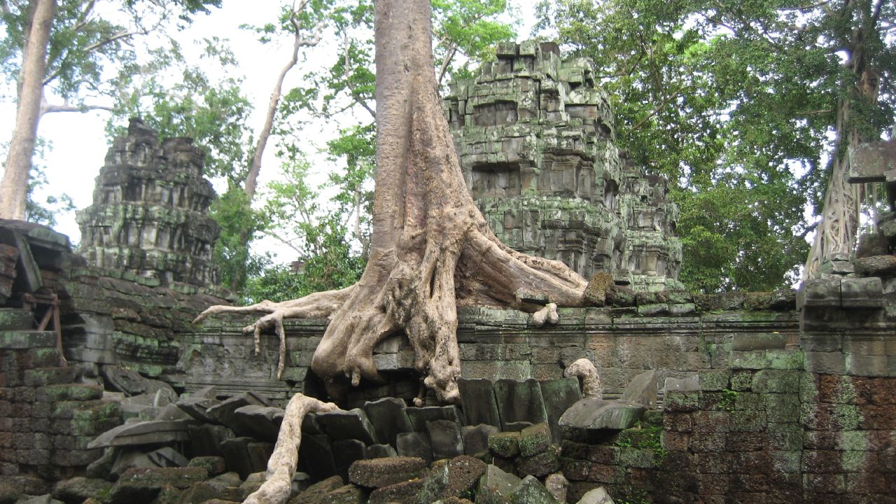 trees grow over the ruins of an ancient temple
