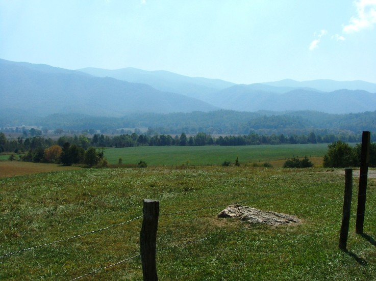a field filled with grass and mountains in the distance