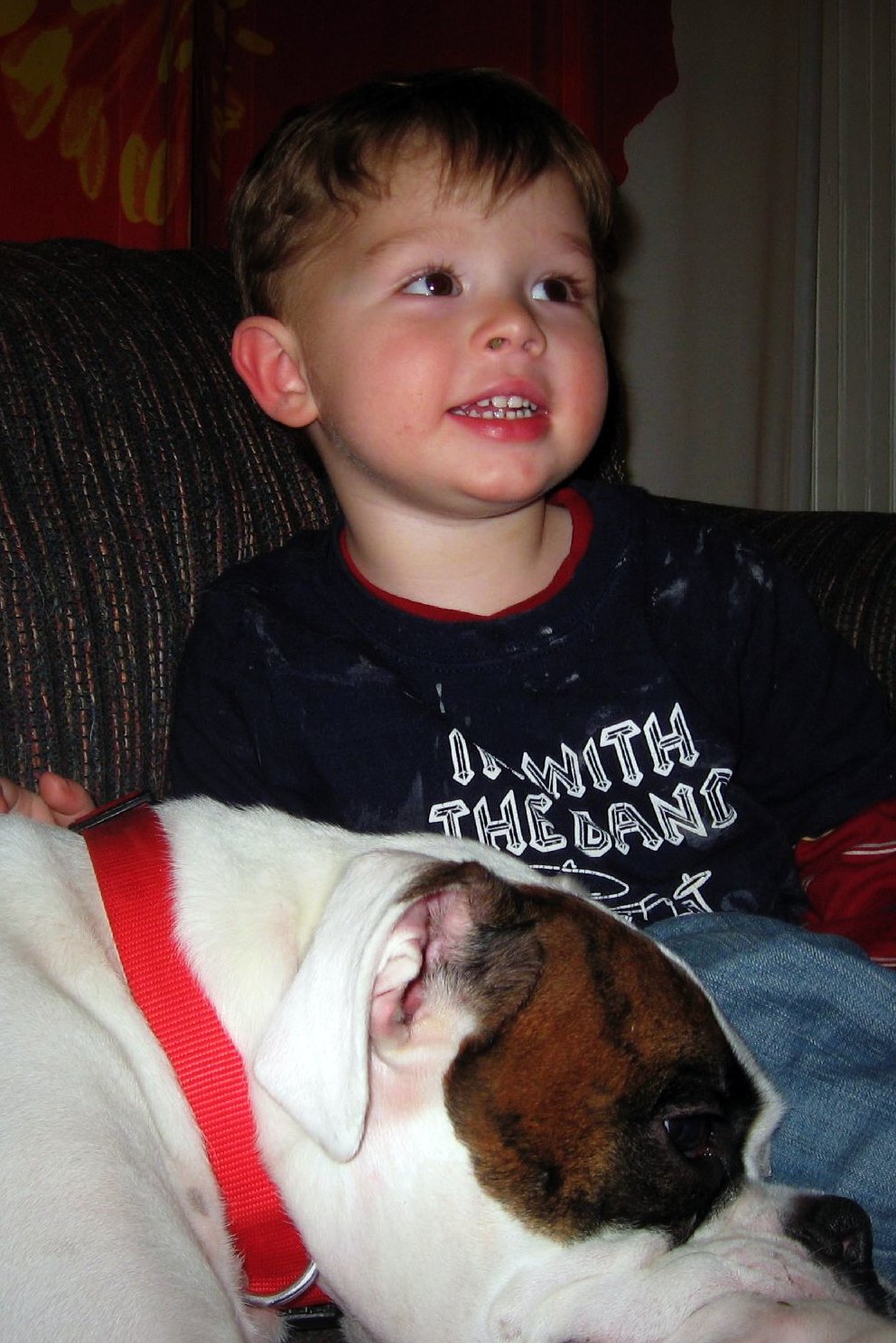small boy with a dog sitting on his lap