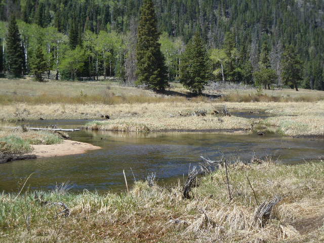 a stream with trees in the background on a dry hillside