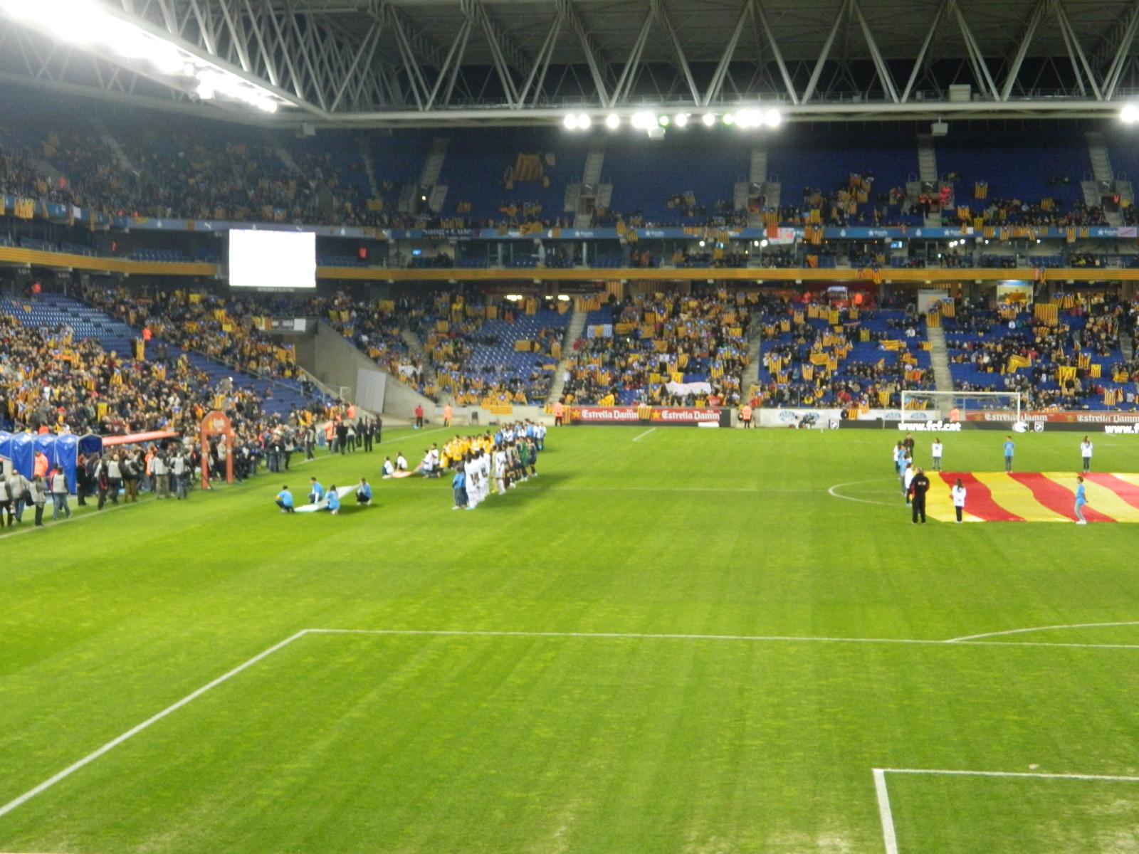 a soccer field with many people watching it