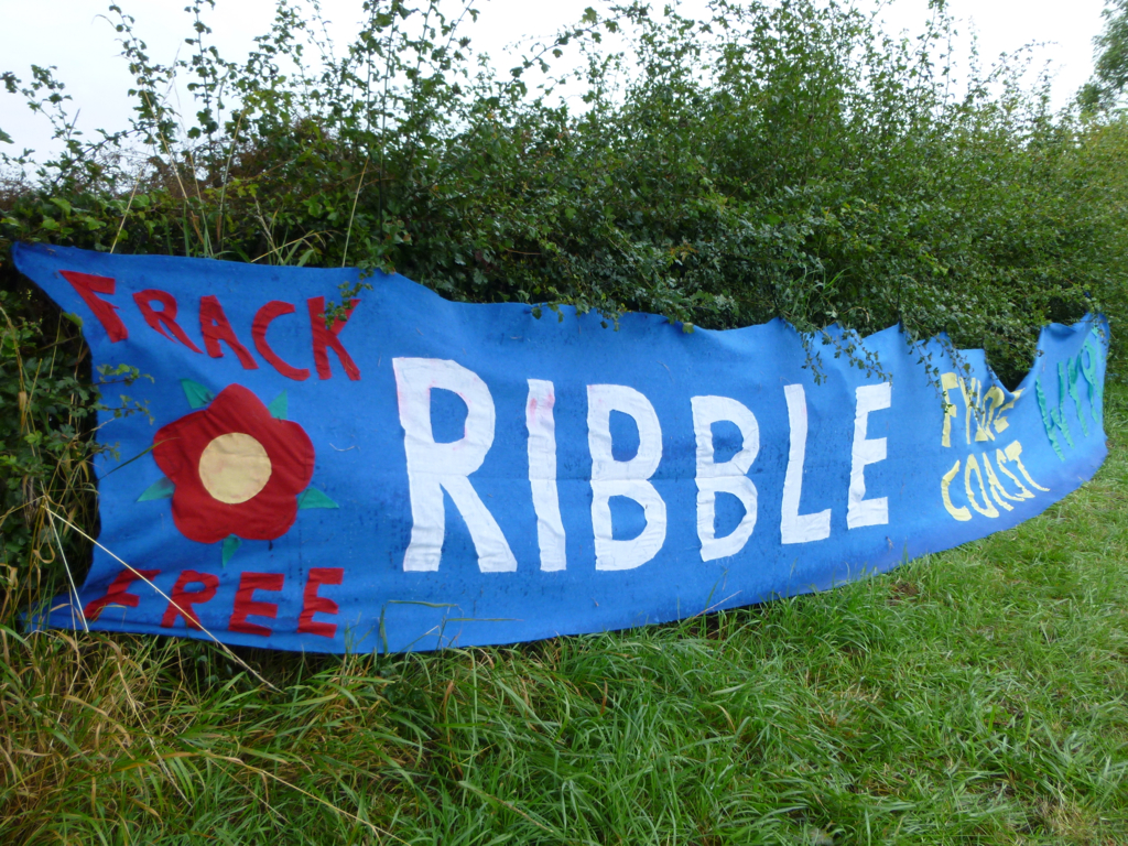 a large blue sign near some bushes and brush