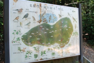 a sign that states birds on the map