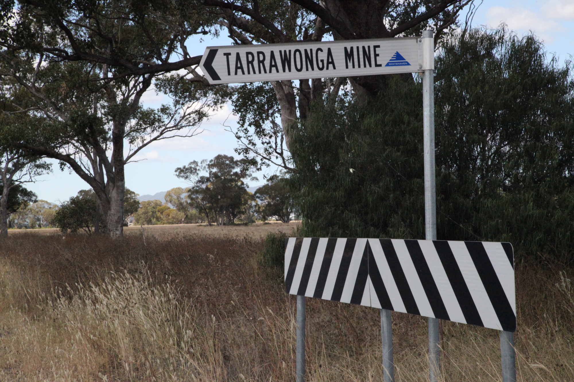 a white street sign sitting under a big tree