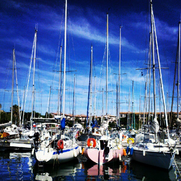 sailboats docked at a marina with their masts down