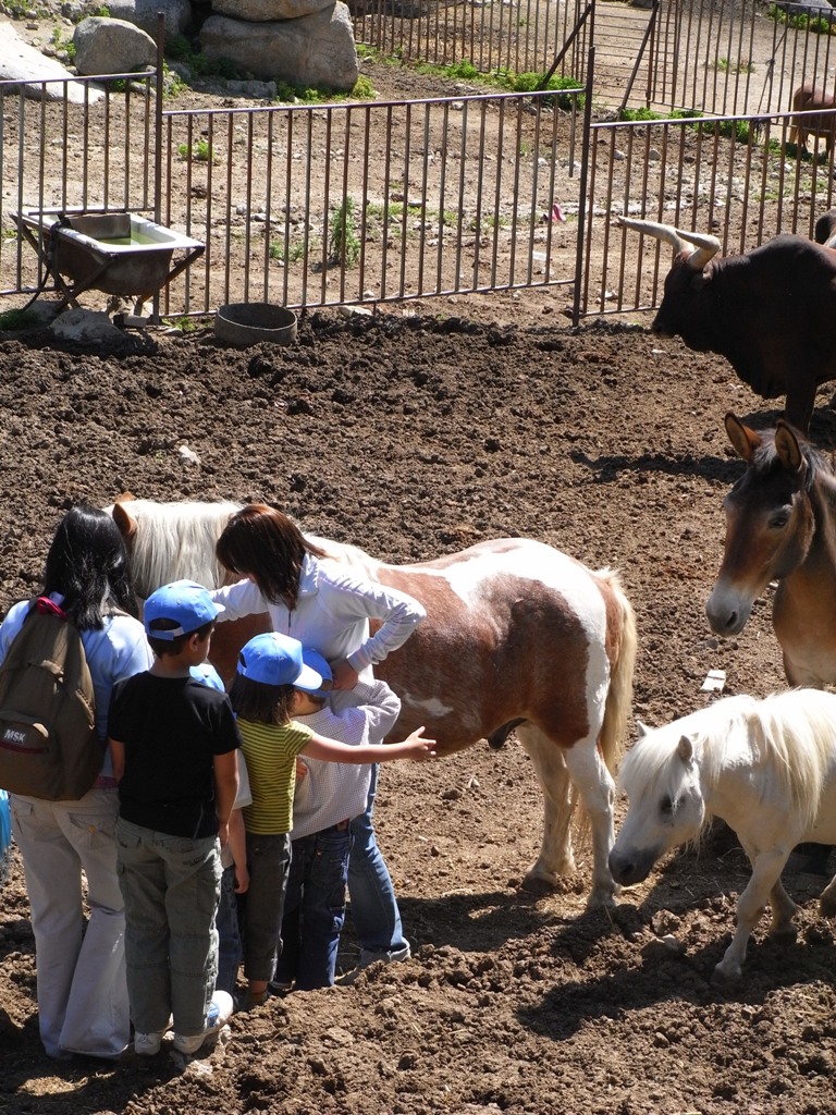 several people and two horses are in the dirt