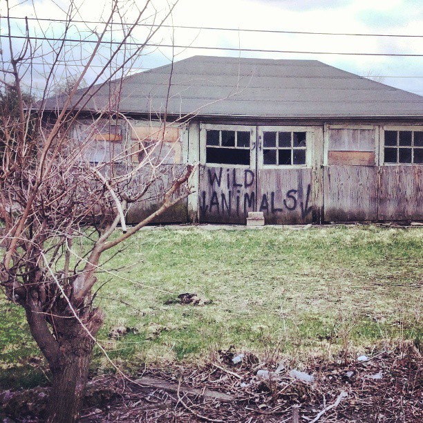 an old barn with graffiti on it