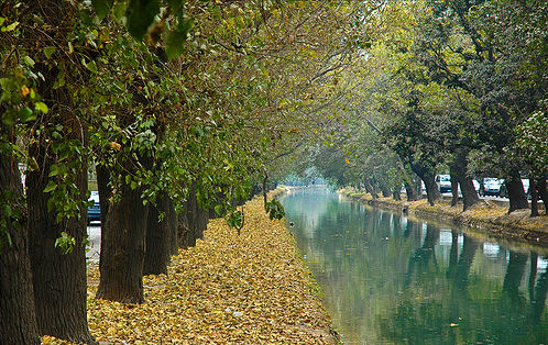 autumn trees line a waterway surrounded by a forest