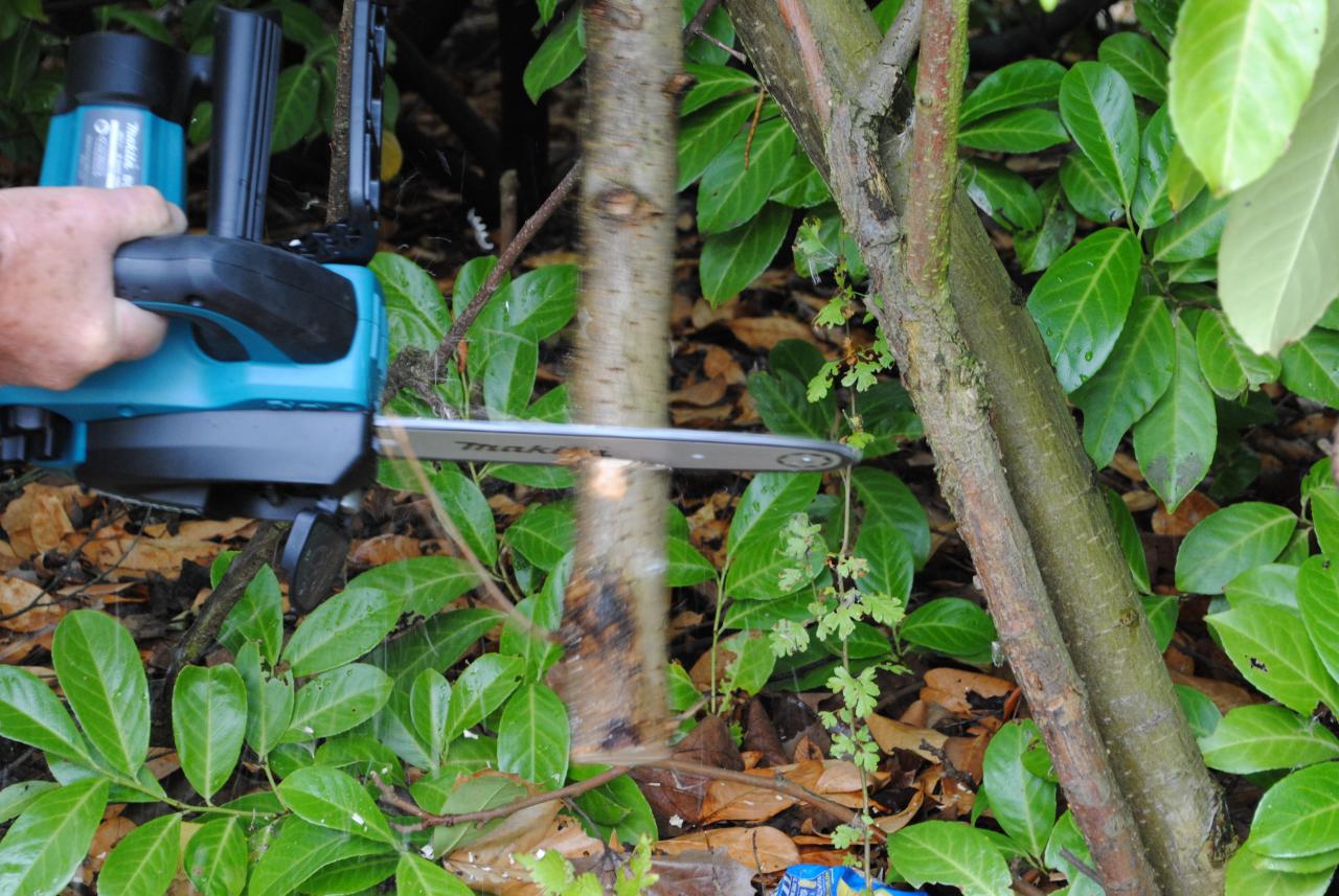 a blue leaf cutter is being used to cut tree nches