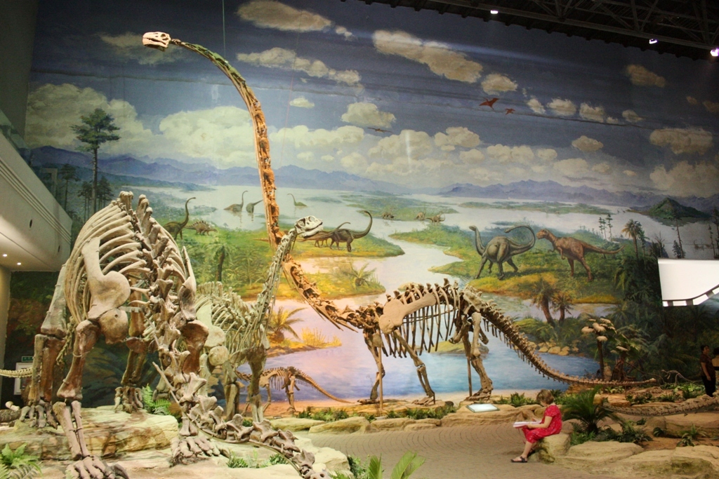 a museum displays a giant museum display with a dinosaur skeleton