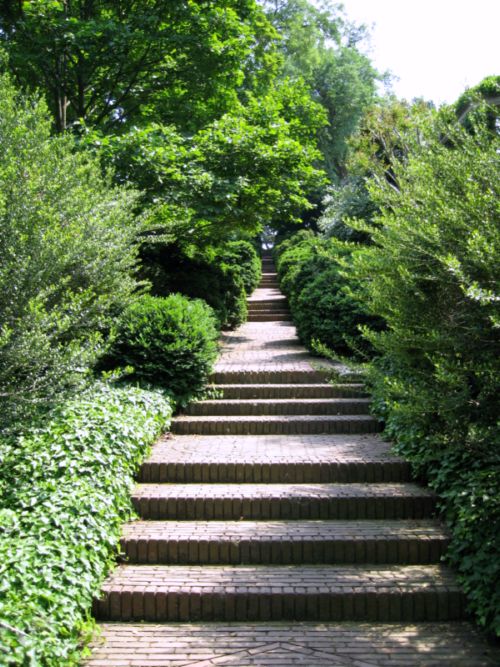 a set of stone steps leading into the woods