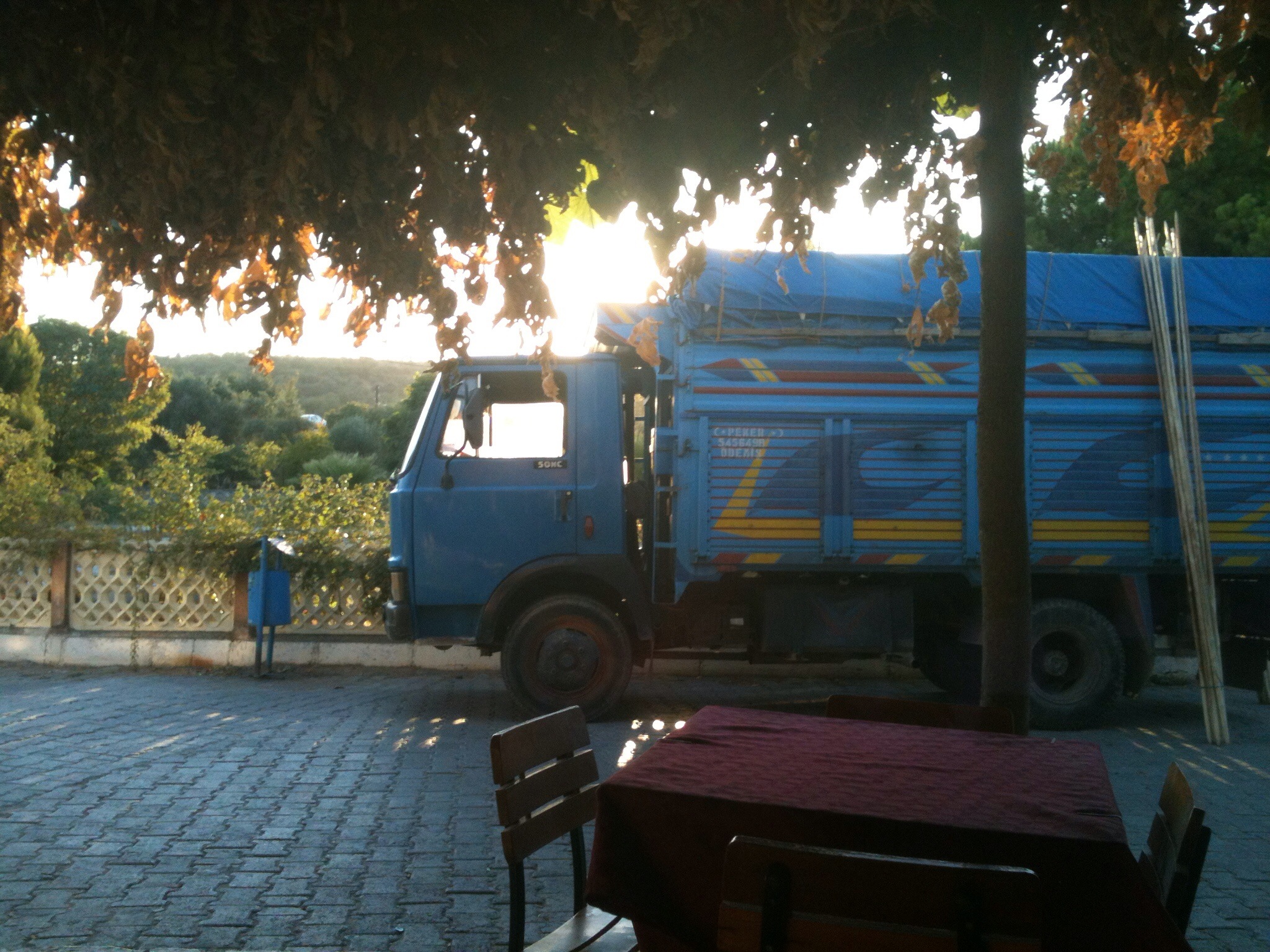 a blue garbage truck parked in a driveway