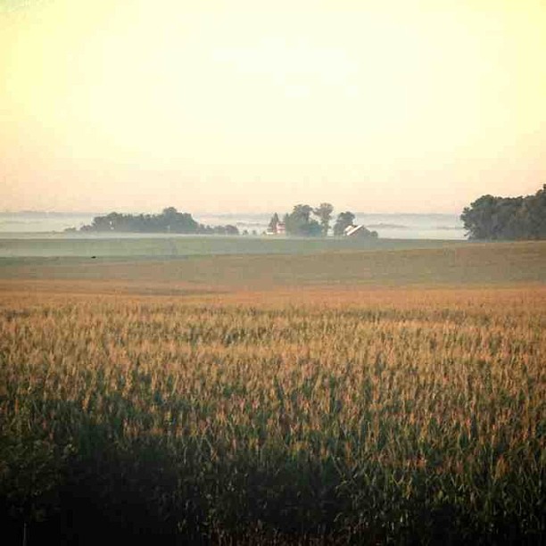 an empty farm field at sunset in the background