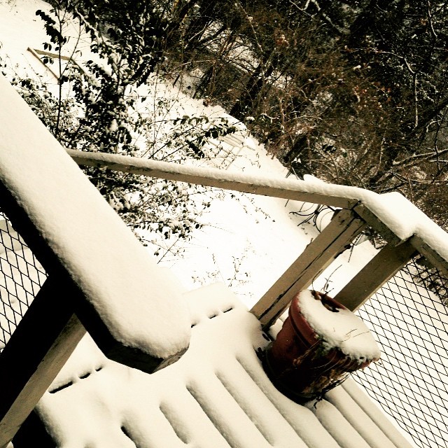 a fire hydrant covered in snow on the steps