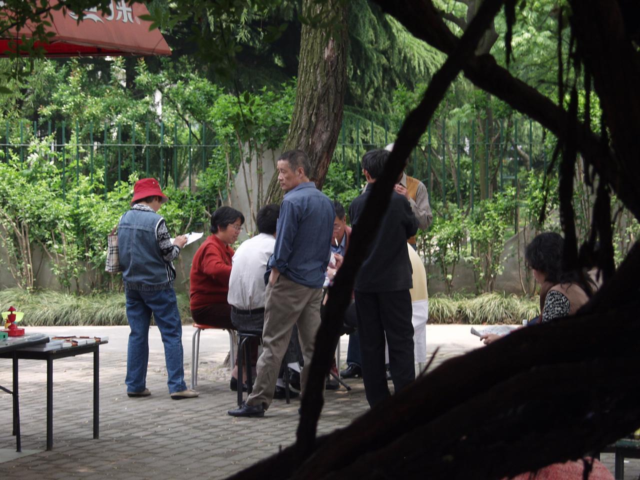 several people gathered in the backyard talking and standing