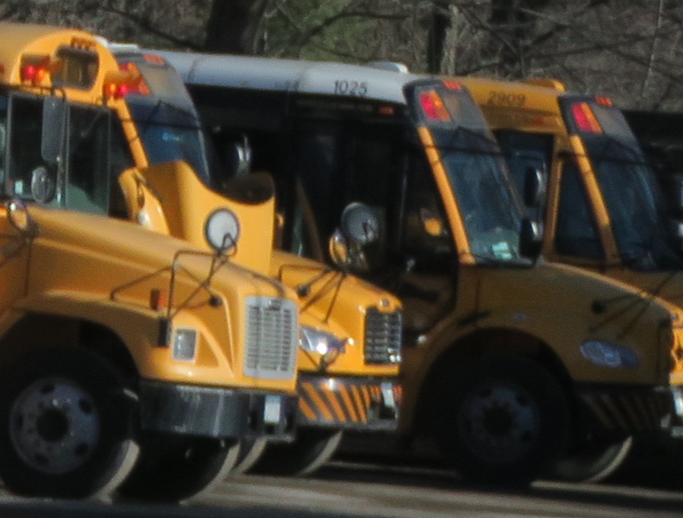 three large school buses parked together in the street