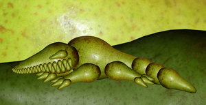 a piece of art shows an upside down green alligator