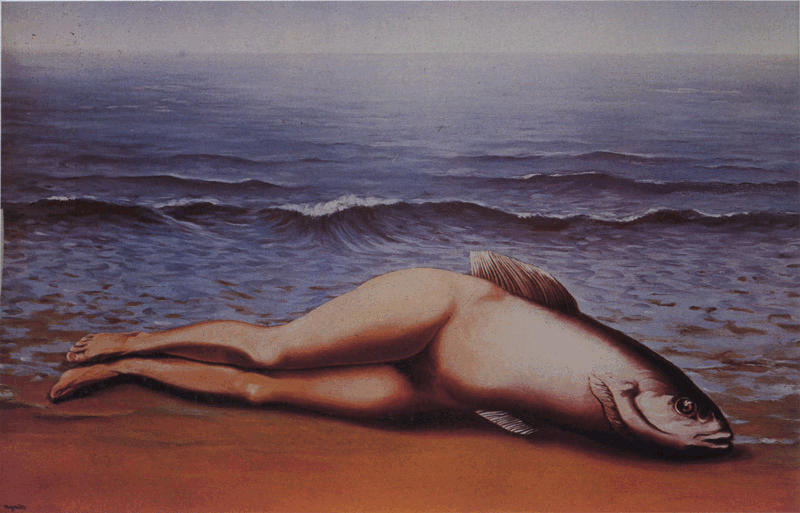 a  woman laying on the beach near the water