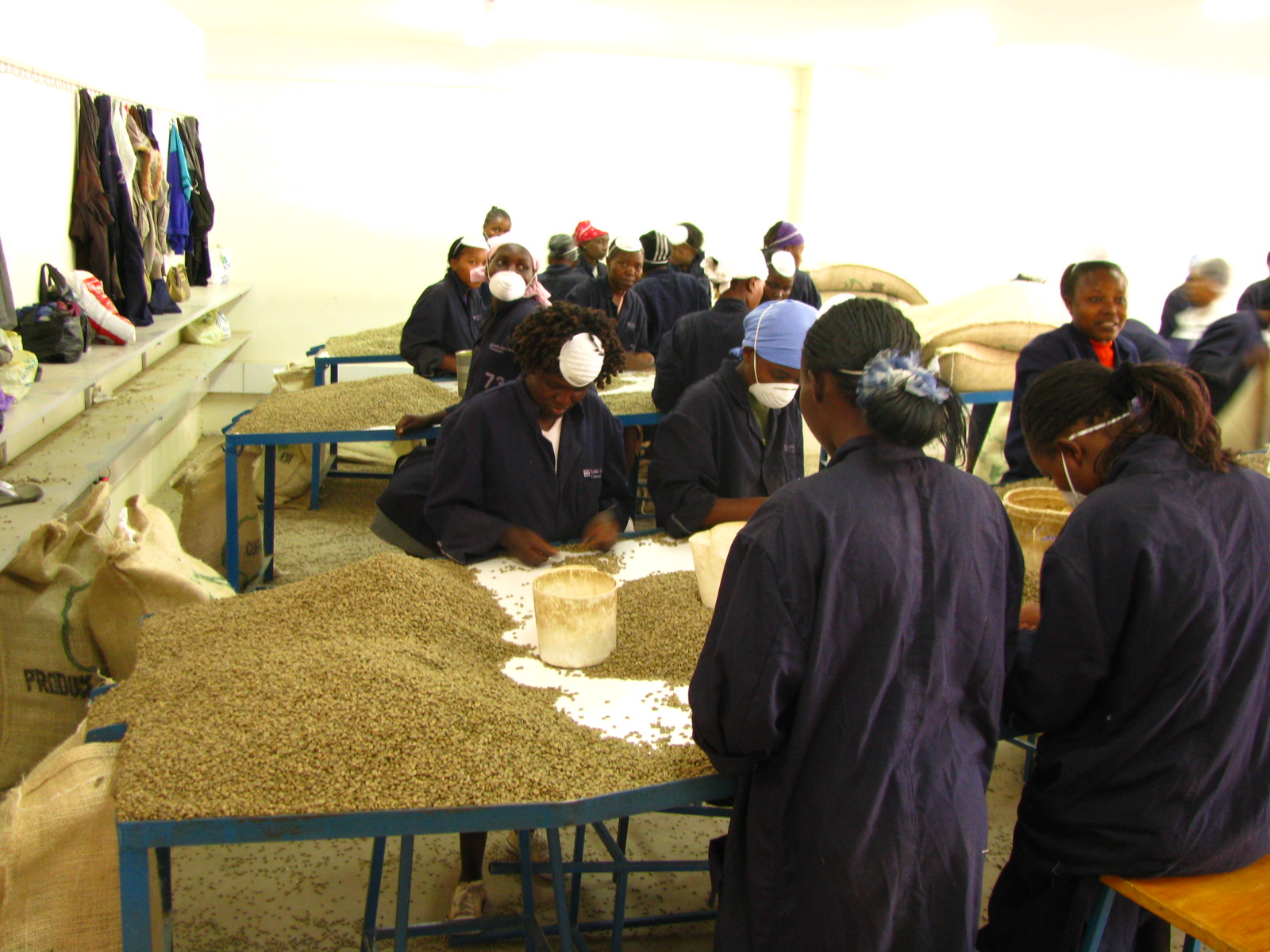 several women sit in front of bags of grain