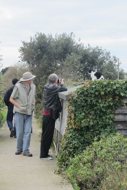 two men on a path taking pictures of a bird