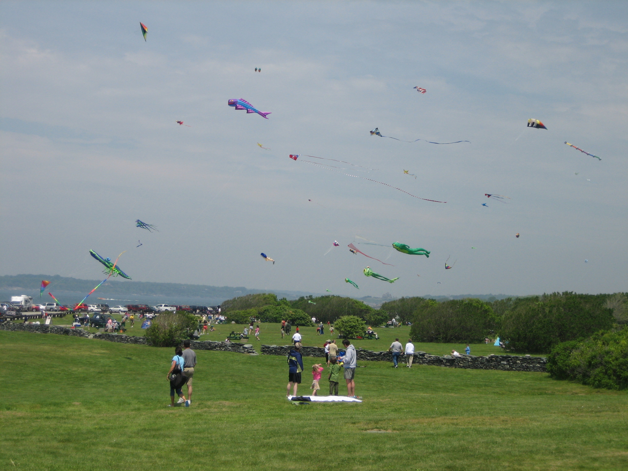 large group of people on grass field flying kites