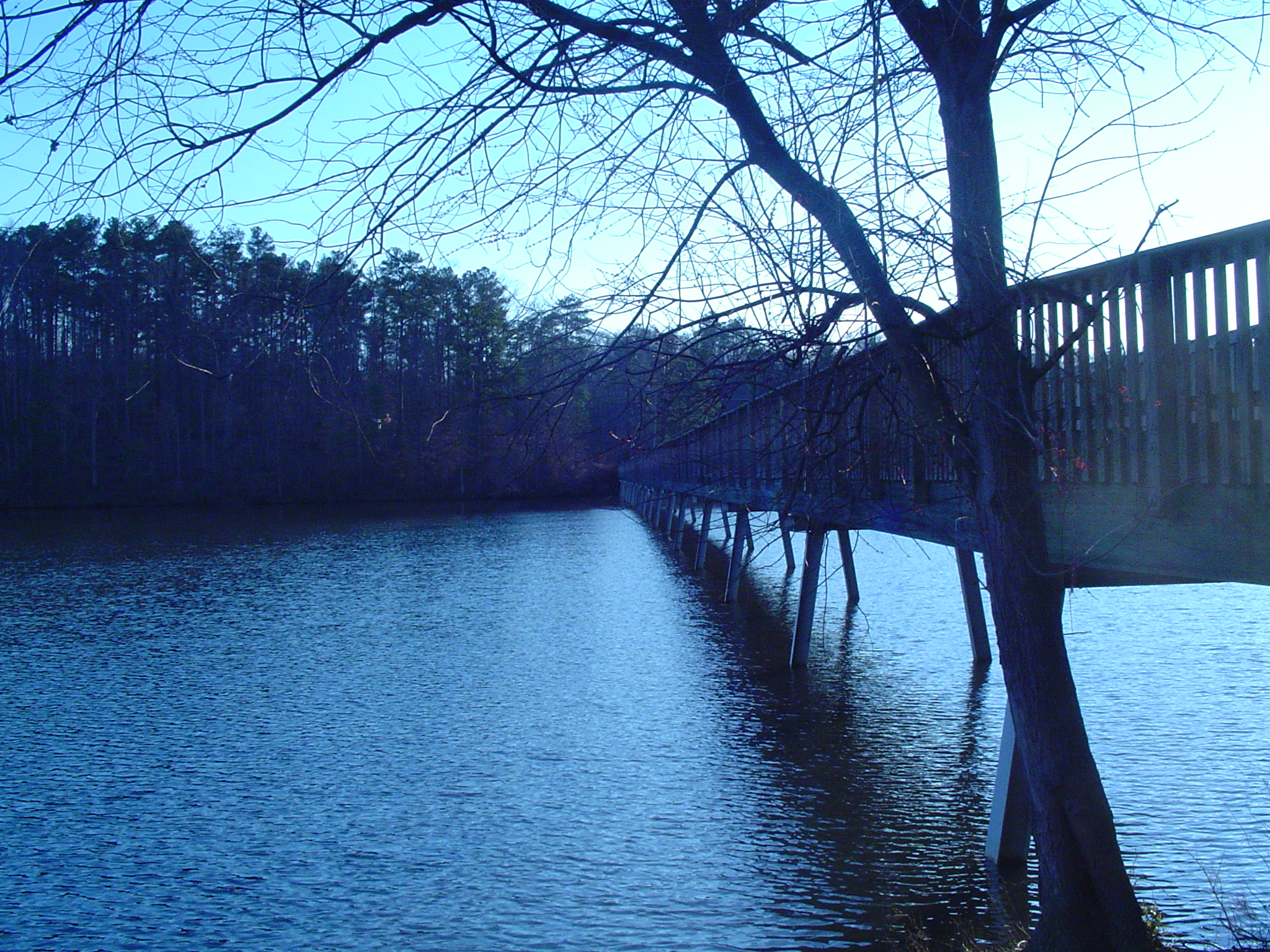an image of a bridge on the water