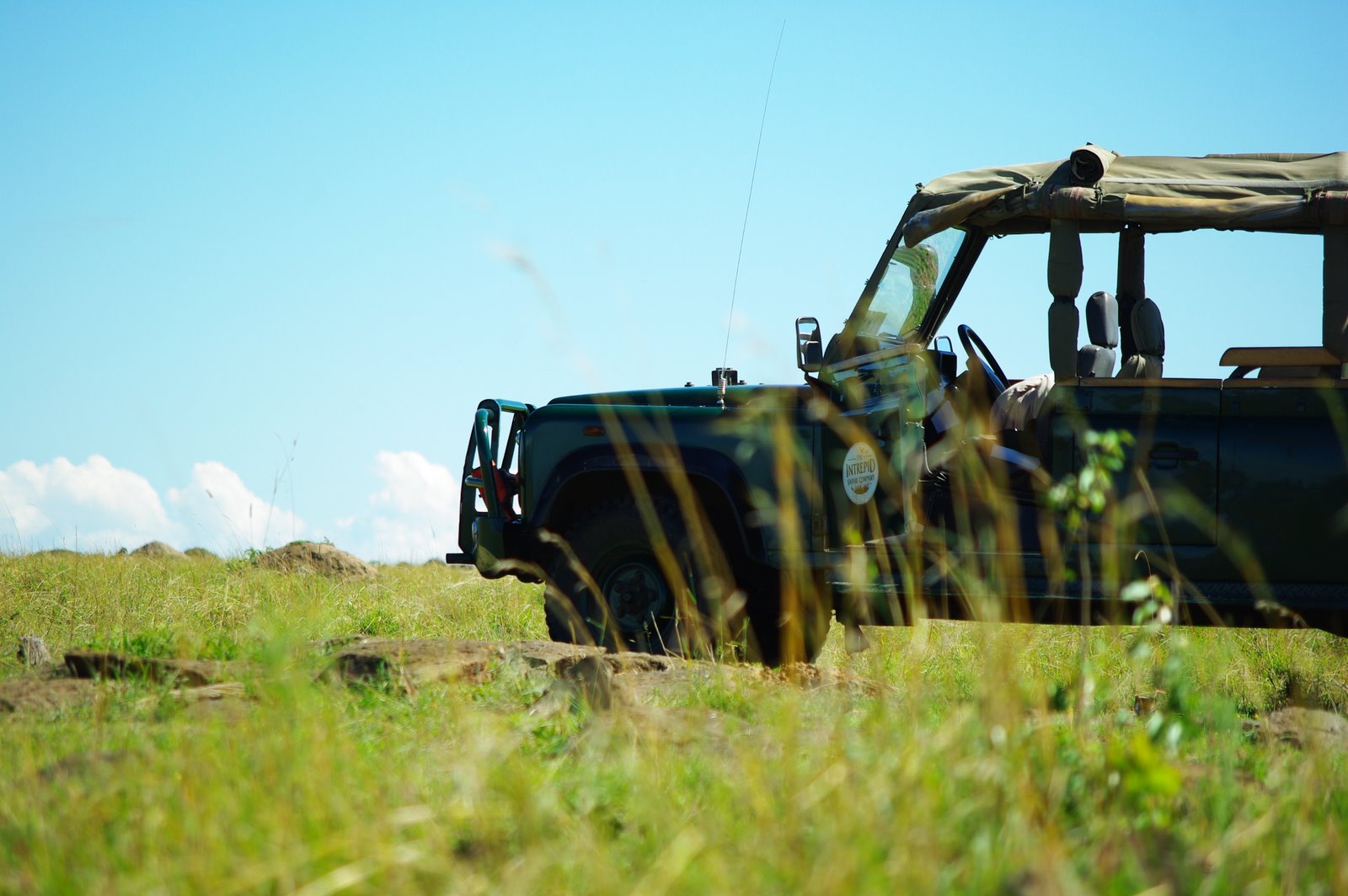 a jeep parked in the grass on a sunny day