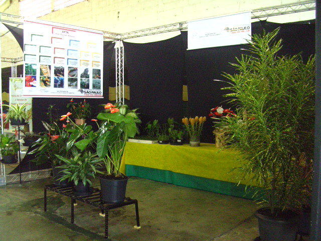 an outdoor booth is full of tropical plants