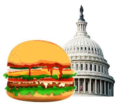 an image of a large hamburger with a capitol building in the background
