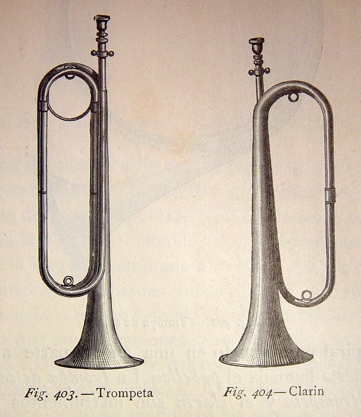an old music instrument and a trumpet are engraved in this illustration