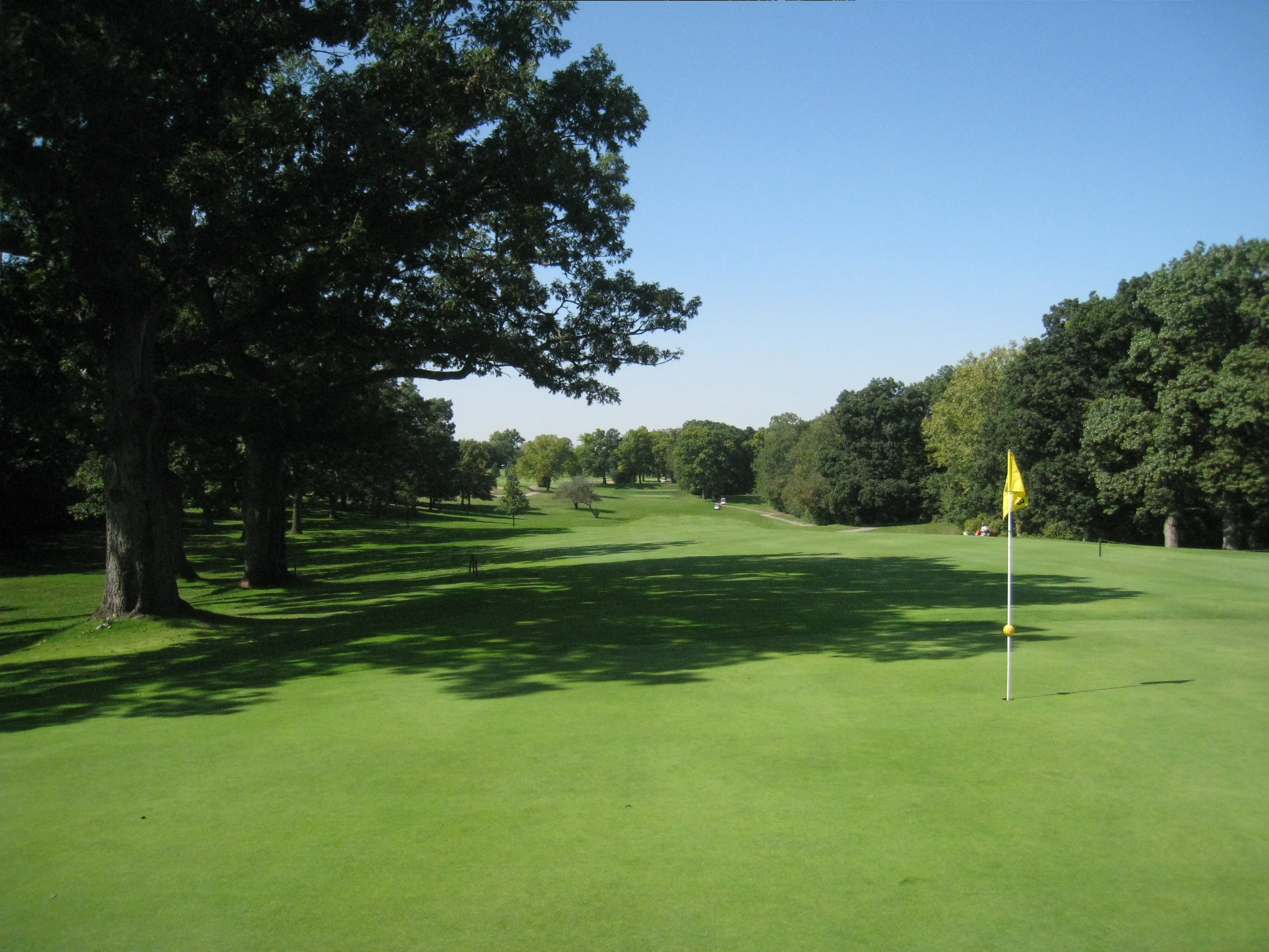 a view of an empty golf course through the trees