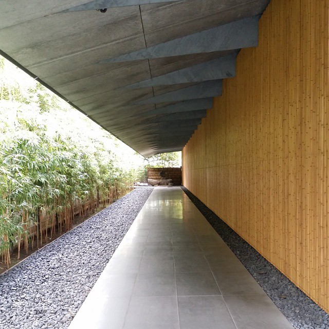 a walkway with bamboo plants under the building