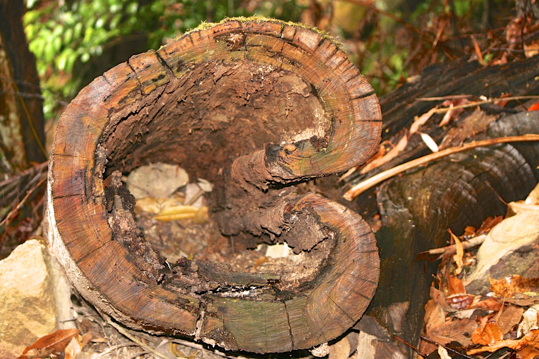 the large piece of wood is showing damage