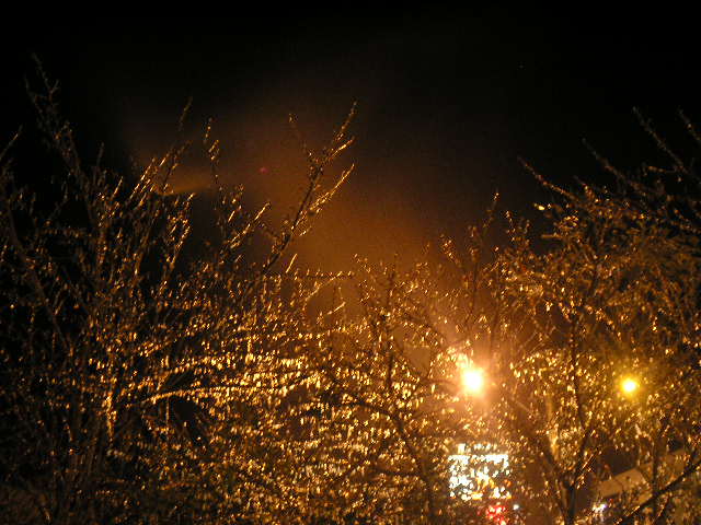 a street lit up with a street lamp next to some snow covered trees