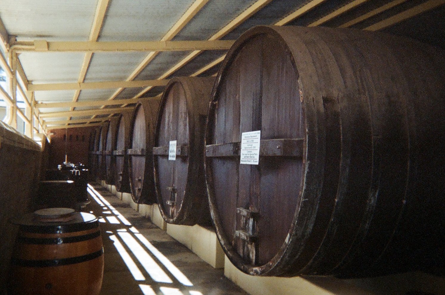 rows of barrels are lined up in a row