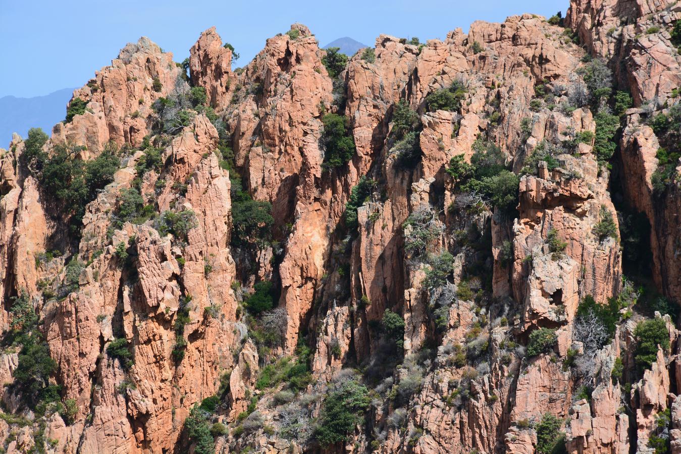 an area with many rocks and trees on it