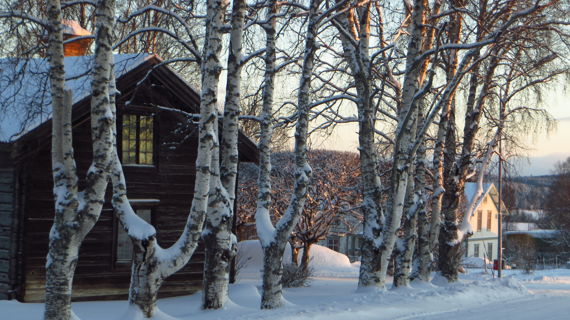 a cabin is surrounded by trees in the snow