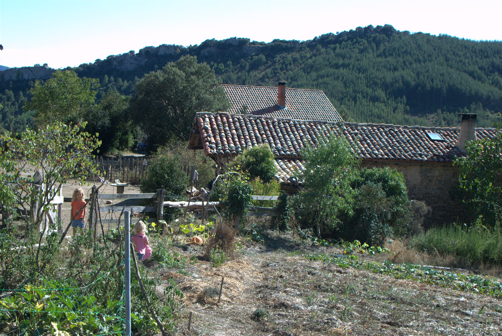 an older house sitting on a hillside with trees and shrubs growing around it