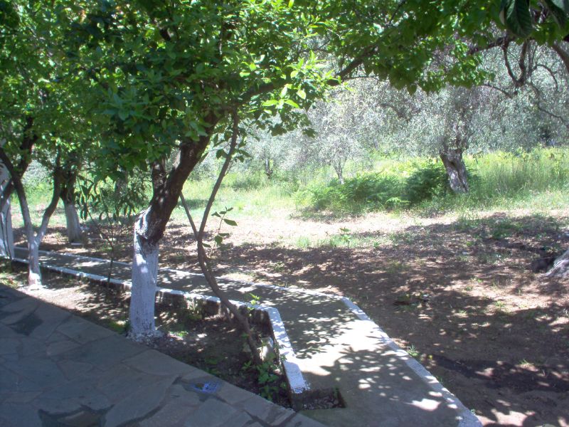 benches are placed beneath trees in an open area