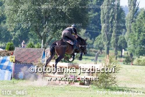 a horse jumping over a log while people look on