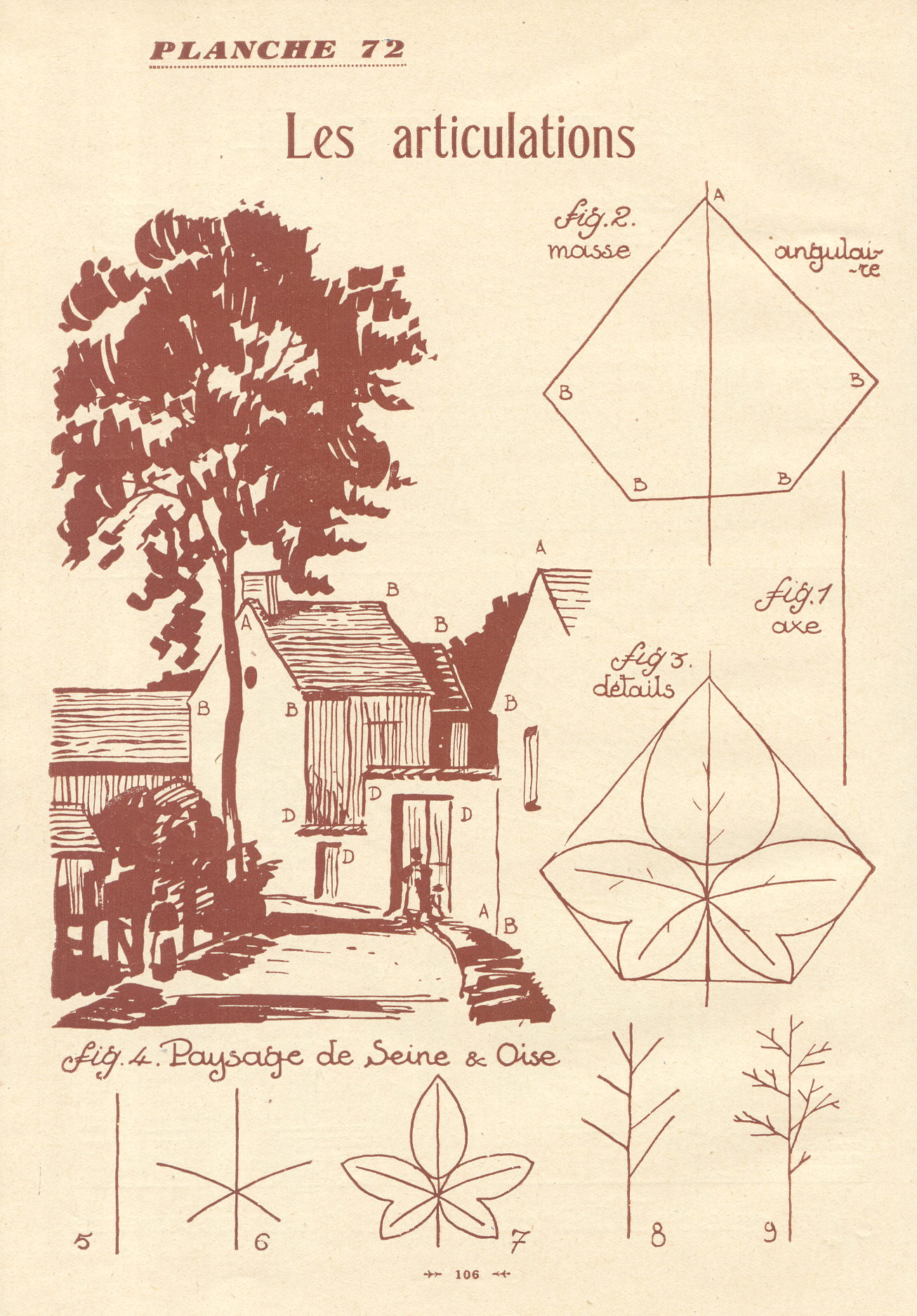 an old drawing shows how to draw tree shapes