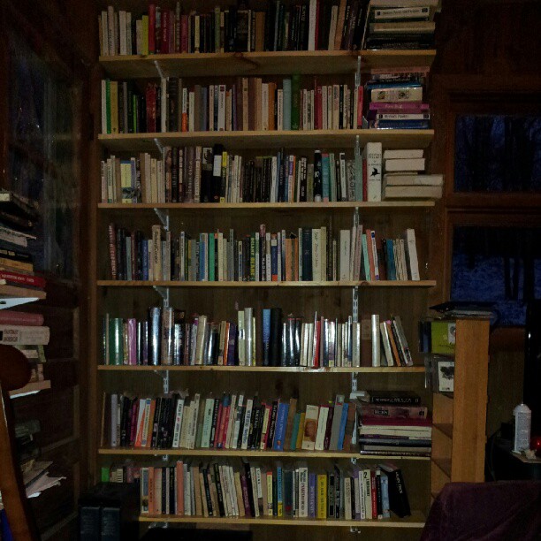 many books on a shelf are scattered throughout this room