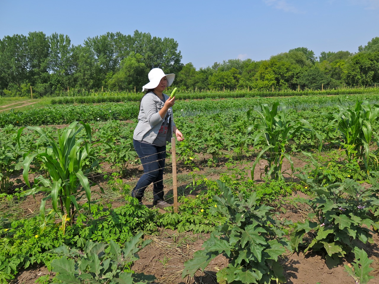 a woman is gardening with a white hat on