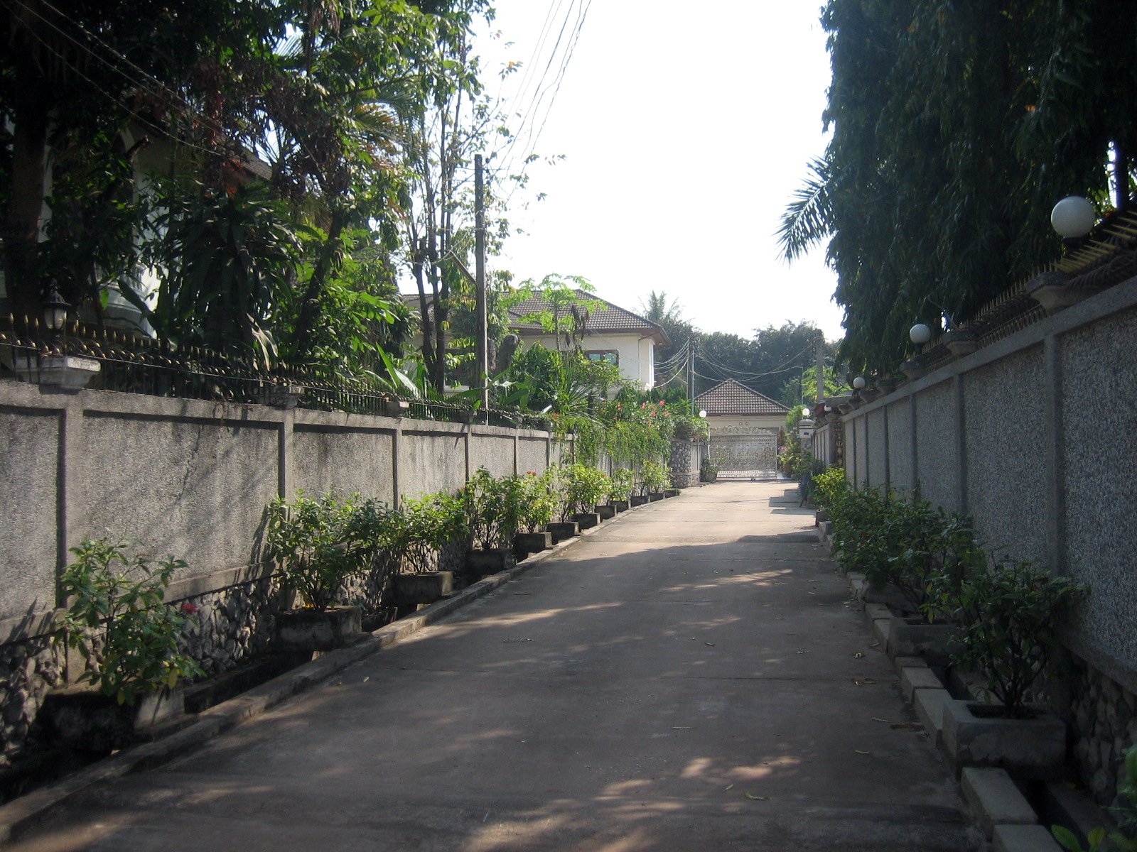 an alley with trees and shrubs along side a building