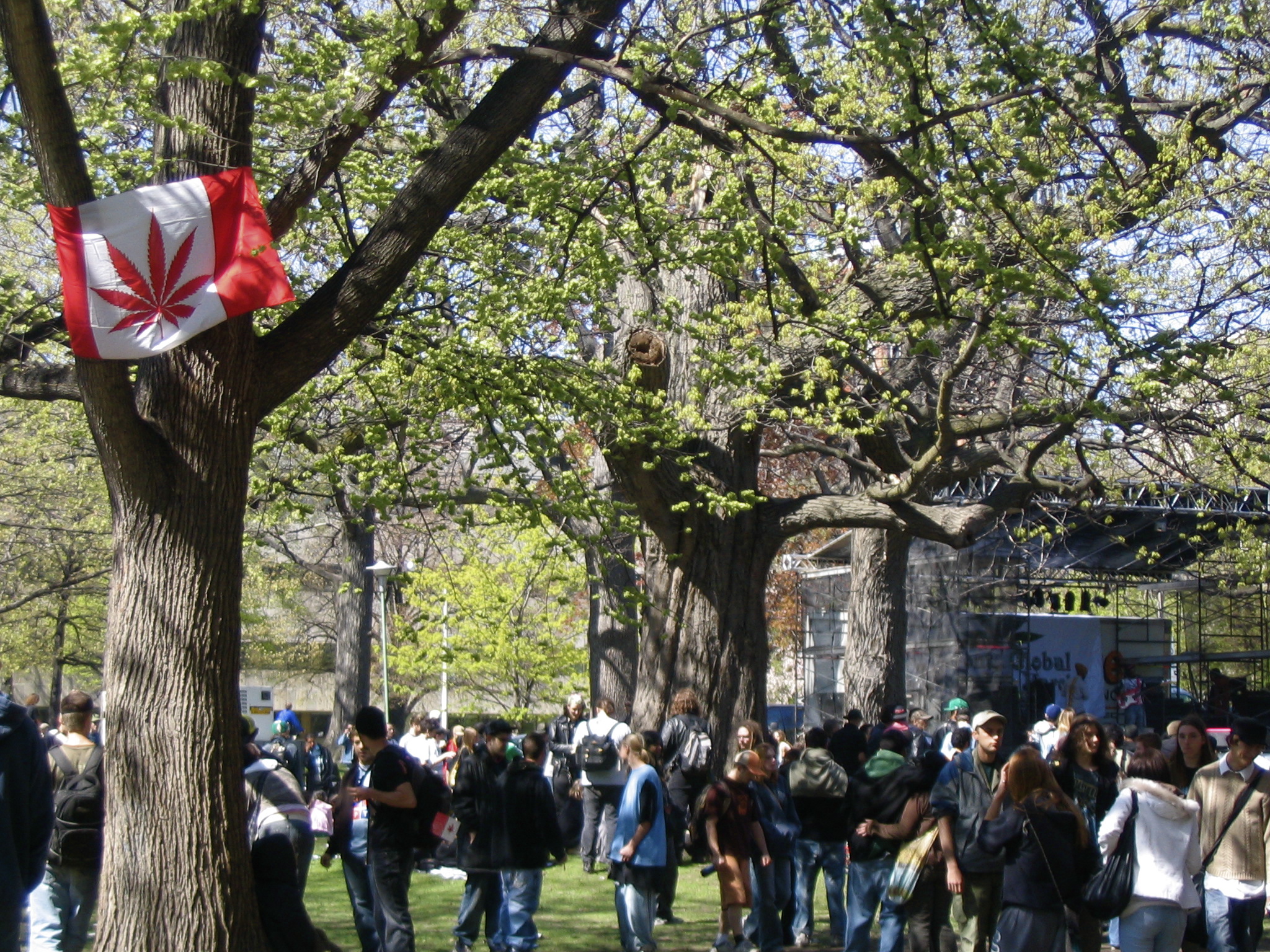 a large group of people stand under trees