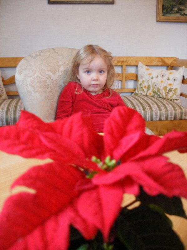 a small girl sits on a couch and looks at the camera