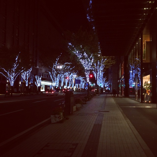 a group of people on a sidewalk near trees with lights