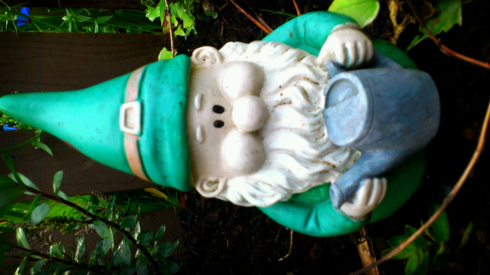 gnome statue sitting in bushes with an aqua water jug