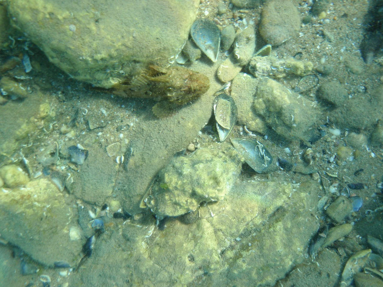 a rock in the water near some rocks